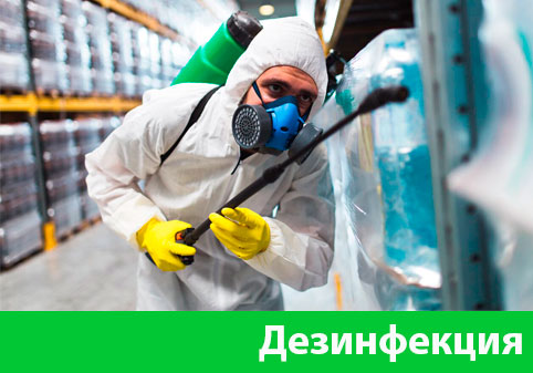 Дезинфекция в городе Полевской