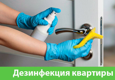Дезинфекция квартиры в городе Полевской