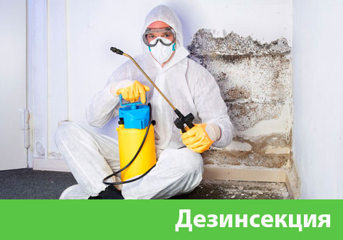 Дезинсекция в городе Полевской