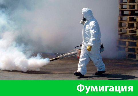 Фумигация в городе Полевской