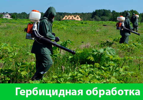 Гербицидная обработка в городе Полевской