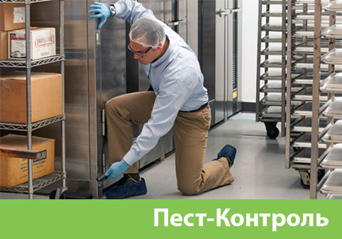 Пэст-Контроль в городе Полевской