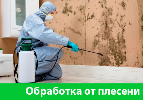 Обработка от плесени в городе Полевской