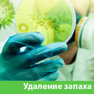 Удаление запахов в Полевском