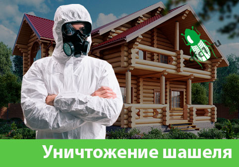Уничтожение шашеля и личинок в Полевском