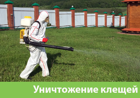 Уничтожение клещей в городе Полевской