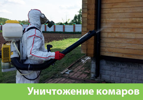 Уничтожение комаров в городе Полевской